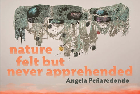 Nature Felt But Never Apprehended by PeÃ±aredondo, Angela