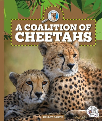 A Coalition of Cheetahs by Barth, Kelley