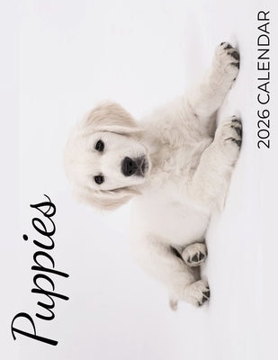 Puppies 2026 Calendar by Patrick, B.