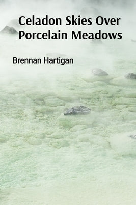 Celadon Skies Over Porcelain Meadows: A Ceramicist's Odyssey Through Form, Texture, and Translucence by Hartigan, Brennan