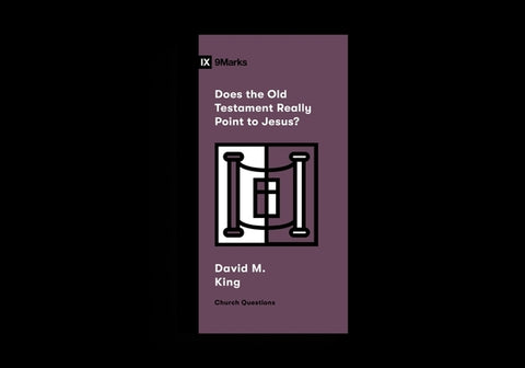 Does the Old Testament Really Point to Jesus? by King, David M.