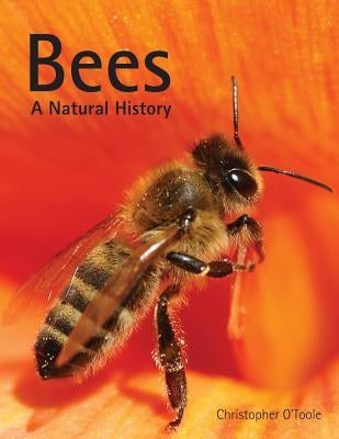 Bees: A Natural History by O'Toole, Christopher