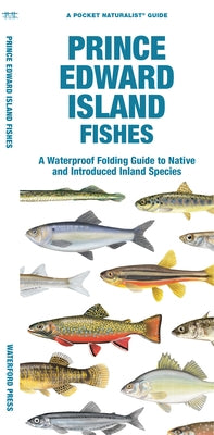 Prince Edward Island Fishes: A Waterproof Folding Guide to Native and Introduced Freshwater Species by Matthew Morris