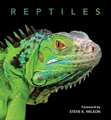 Reptiles by Wilson, Steve