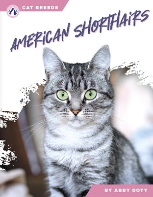 American Shorthairs by Doty, Abby