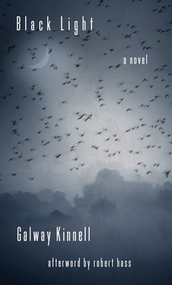 Black Light by Kinnell, Galway