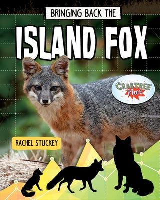 Bringing Back the Island Fox by Stuckey, Rachel