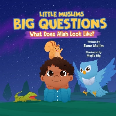 Little Muslims, Big Questions: What Does Allah Look Like? by Malim, Sana