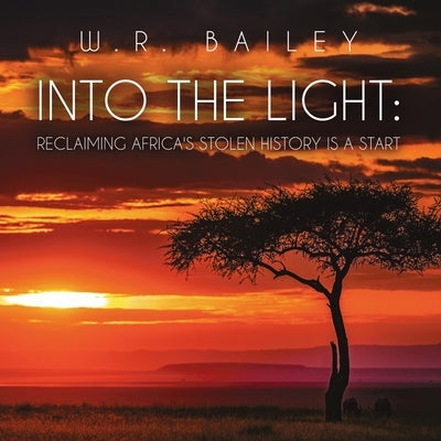 Into the Light: Reclaiming Africa's Stolen History Is a Start by Bailey, W. R.