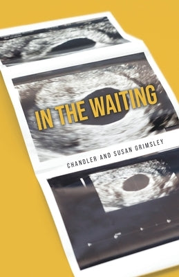 In The Waiting by Grimsley, Susan