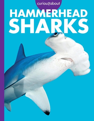Curious about Hammerhead Sharks by Davies, Monika