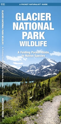 Glacier National Park Wildlife by Press, Waterford