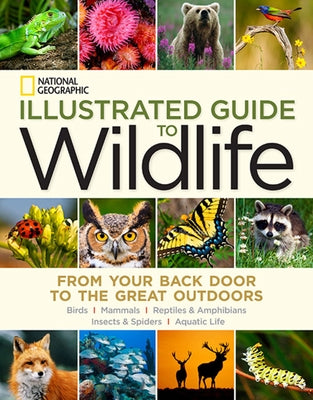 National Geographic Illustrated Guide to Wildlife: From Your Back Door to the Great Outdoors by National Geographic