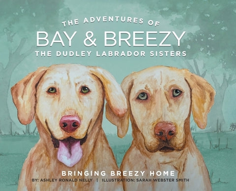 The Adventures of Bay & Breezy: Bringing Breezy Home by Nelly, Ashley Ronald