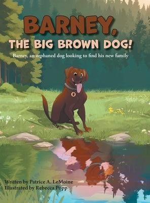 Barney, The Big Brown Dog!: Barney, an orphaned dog looking to find his new family by Lemoine, Patrice A.