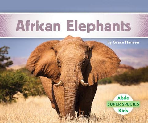 African Elephants by Hansen, Grace