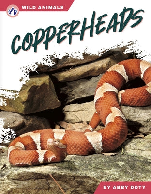 Copperheads by Doty, Abby