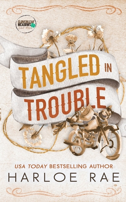 Tangled in Trouble: A Grumpy Single Dad Small Town Standalone by Rae, Harloe