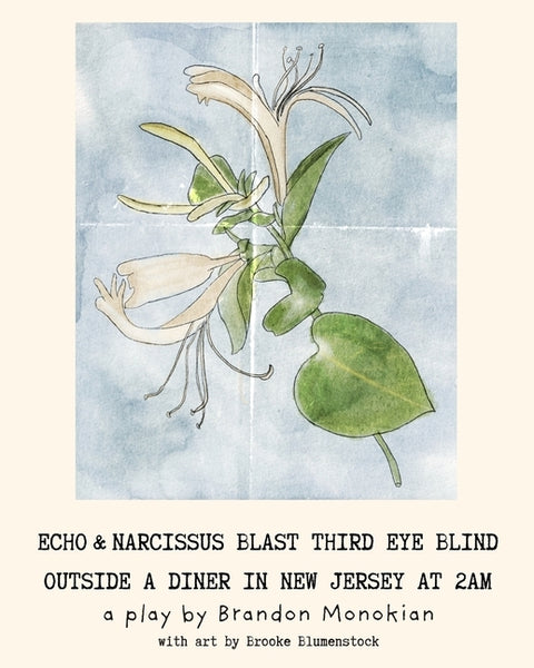 Echo and Narcissus Blast Third Eye Blind Outside A Diner in New Jersey at 2AM [Expanded Edition] by Monokian, Brandon