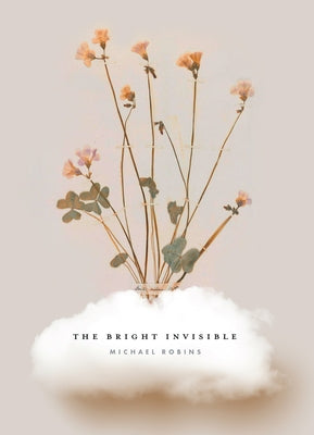 The Bright Invisible by Robins, Michael