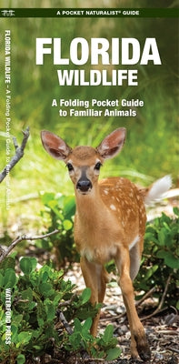 Florida Wildlife: An Introduction to Familiar Species by Kavanagh, James