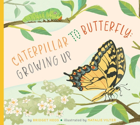 Caterpillar to Butterfly: Growing Up by Heos, Bridget