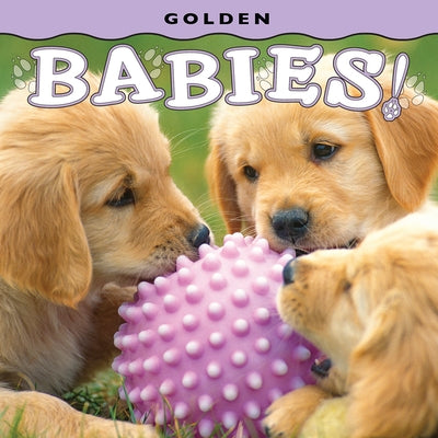 Golden Babies! by Holdsworth, Henry