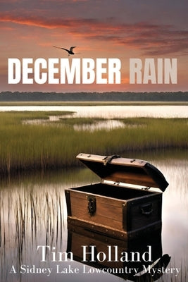 December Rain by Holland, Tim