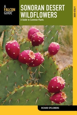 Sonoran Desert Wildflowers by Spellenberg, Richard