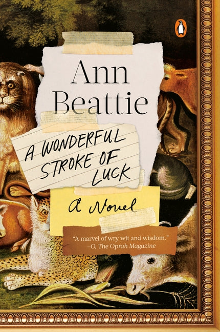 A Wonderful Stroke of Luck by Beattie, Ann
