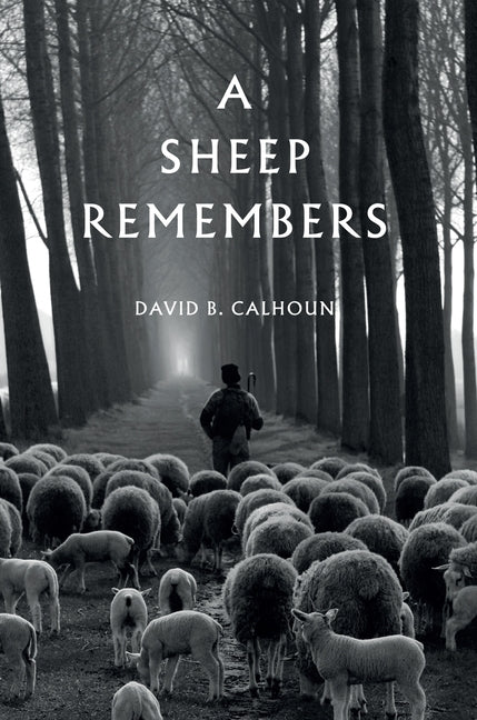 A Sheep Remembers by Calhoun, Davidb