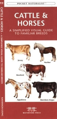 State Flags & Facts: An Introduction to State Flags, Symbols, Mottos & Nicknames by Kavanagh, James