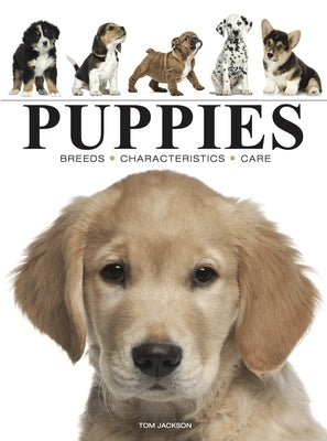 Puppies by Jackson, Tom