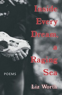 Inside Every Dream, a Raging Sea by Worth, Liz