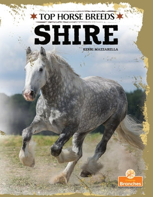 Shire by Mazzarella, Kerri