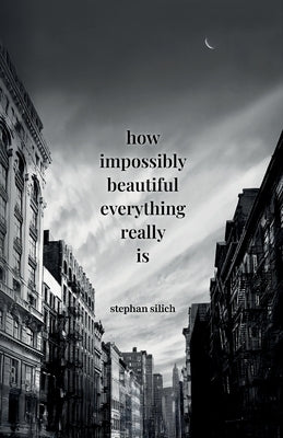 How Impossibly Beautiful Everything Really Is by Silich, Stephan