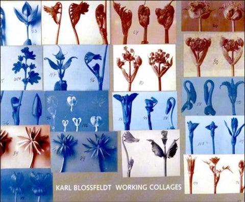 Karl Blossfeldt: Working Collages by Wilde, Ann