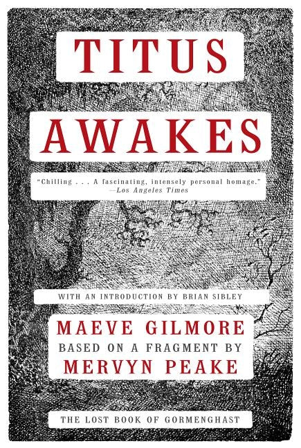 Titus Awakes: The Lost Book of Gormenghast by Gilmore, Maeve