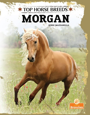 Morgan by Mazzarella, Kerri
