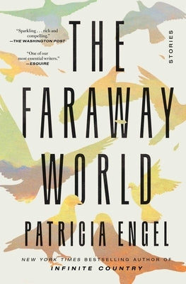 The Faraway World: Stories by Engel, Patricia