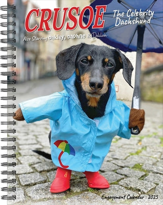 Crusoe the Celebrity Dachshund 2026 6.5 X 8.5 Engagement Calendar by Beauchesne, Ryan