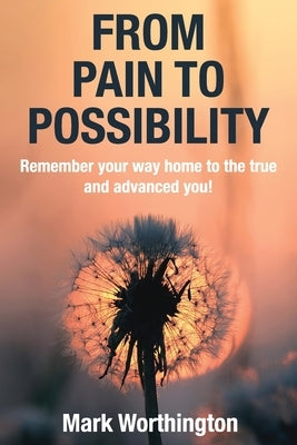 From Pain To Possibility by Worthington, Mark A.