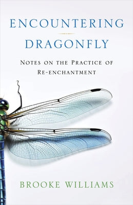 Encountering Dragonfly: Notes on the Practice of Re-Enchantment by Williams, Brooke