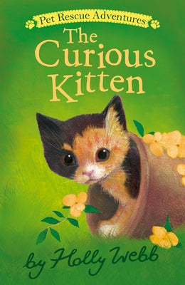 The Curious Kitten by Webb, Holly