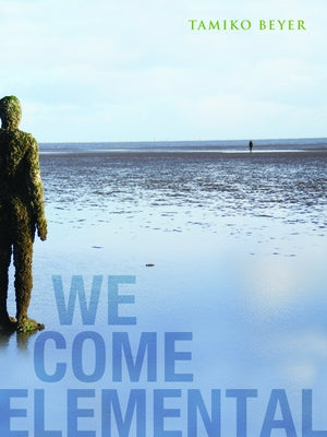 We Come Elemental by Beyer, Tamiko