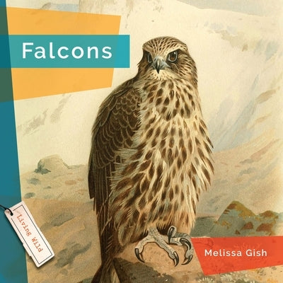 Falcons by Gish, Melissa