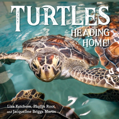 Turtles Heading Home! by Ketchum, Liza