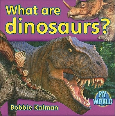 What Are Dinosaurs? by Kalman, Bobbie