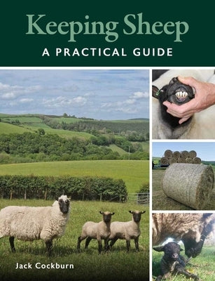 Keeping Sheep by Cockburn, Jack