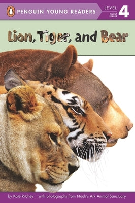 Lion, Tiger, and Bear by Ritchey, Kate